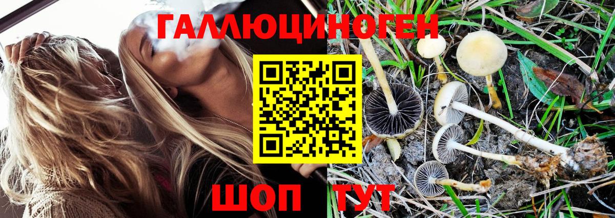 Галлюциногенные грибы MAGIC MUSHROOMS  Вход с VPN  Александров 