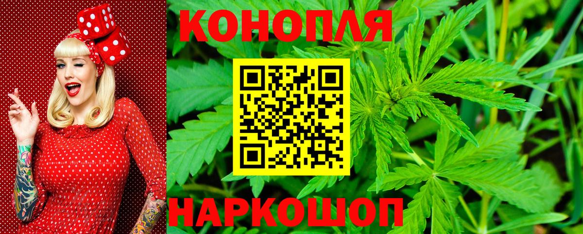 Александров  Марихуана план  Марихуана семена  Вход с VPN  Бошки марихуана THC 21% 